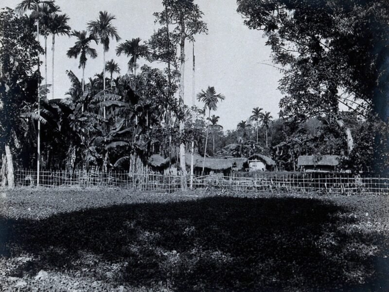 Assam Village